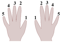 Finger Numbers